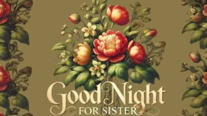 60+ Loving Good Night Messages for Sister