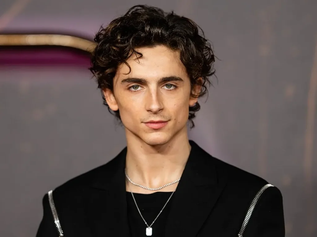 Timothée Chalamet Height Everything You Need to Know About the Hollywood Icon