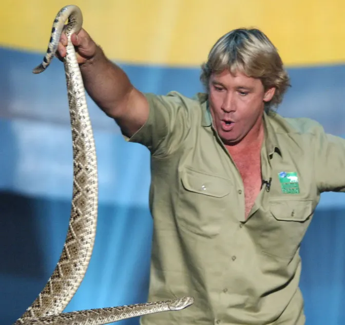 Steve Irwin Height: A Complete Look at the Life, Legacy, and Impact of the Crocodile Hunter