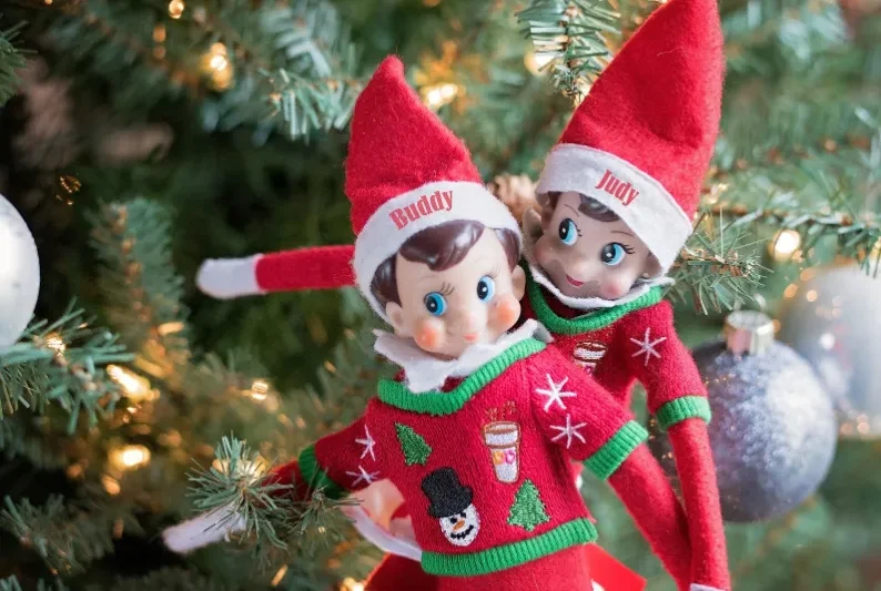 How The Tree Elves Make Real Christmas Tree Delivery Simple and Magical