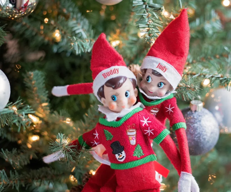 How The Tree Elves Make Real Christmas Tree Delivery Simple and Magical