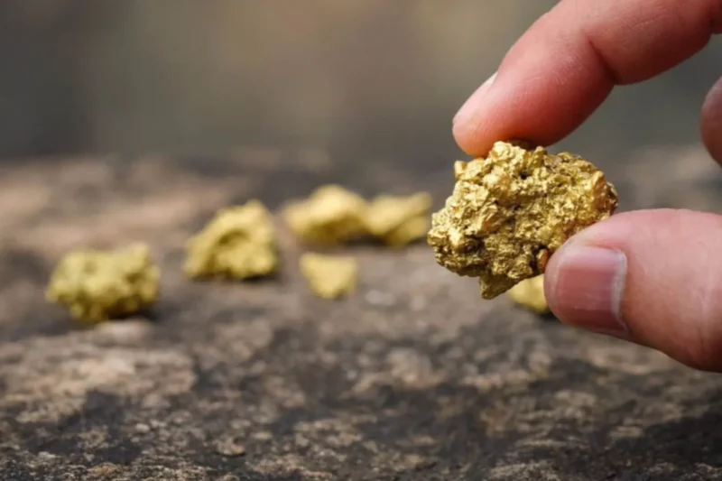 What to Consider Before You Buy Golden Nuggets Online