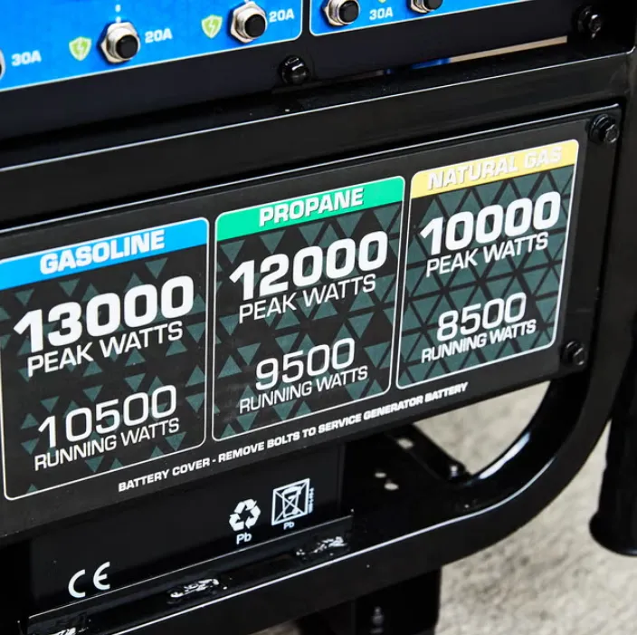 Whole Home Generator Surge vs Running Watts Guide