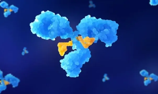 How Do Oligonucleotide Therapies Work in Drug Discovery?