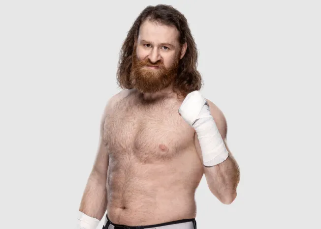 Sami Zayn Age, Biography, Net Worth, Career, Height, Wife, WWE Journey & More