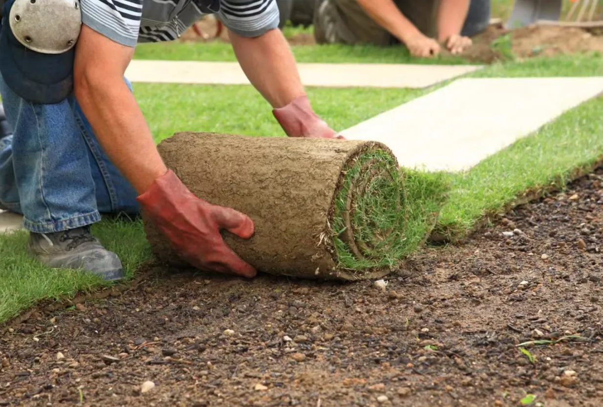 Atlanta Sod Installation A Better Way to Build a Fresh, Green Lawn